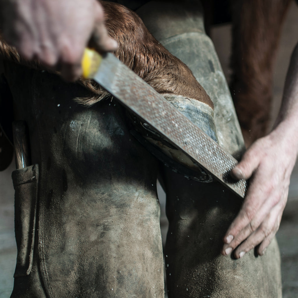 What is a Hoof Pick?